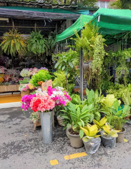 The plant market of Chatuchak runs three times a week and is a peaceful contrast to the hustle of the weekend market.