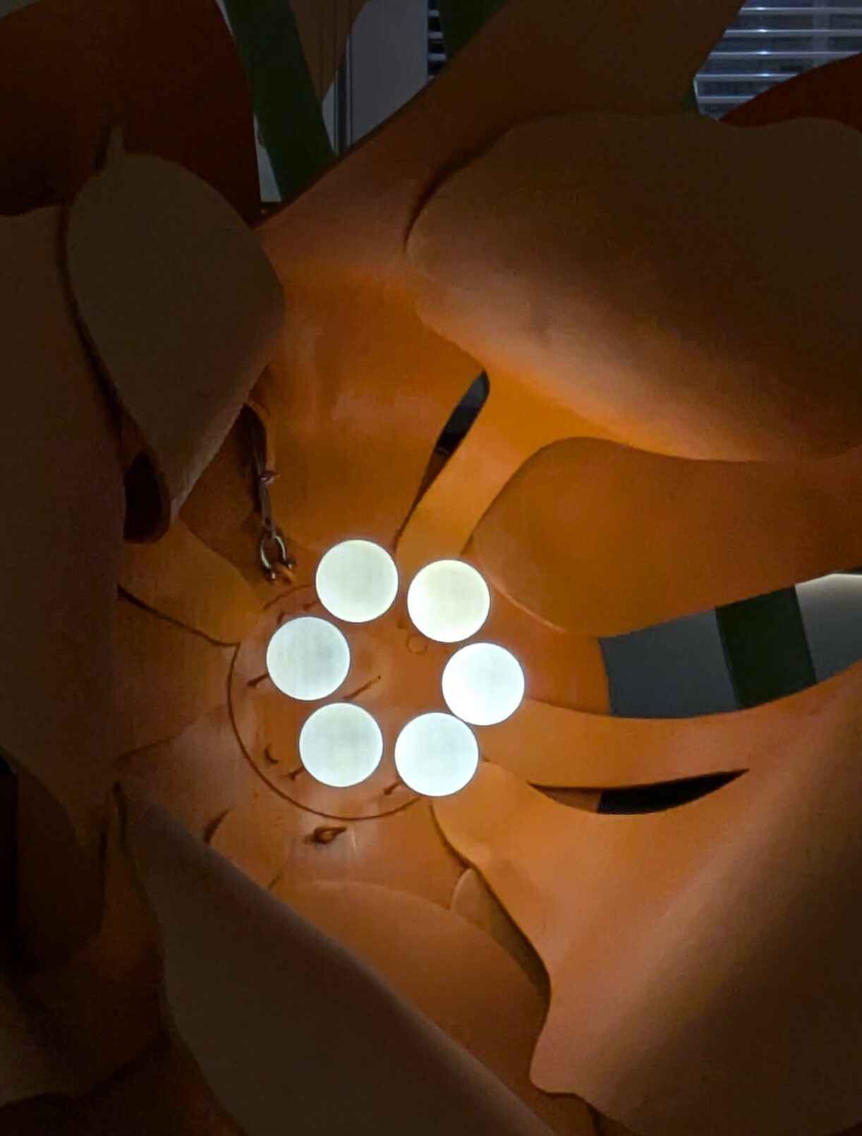 Light petals