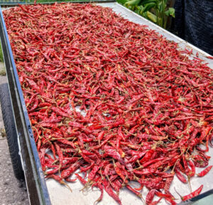 Red tray